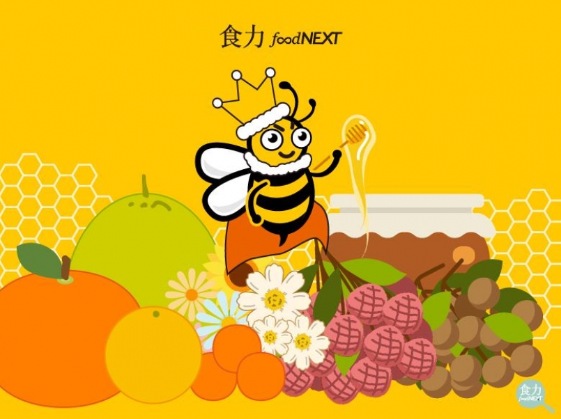 【健康】人类偷吃了哪些蜜蜂的食品?一次搞懂各种蜂产品!