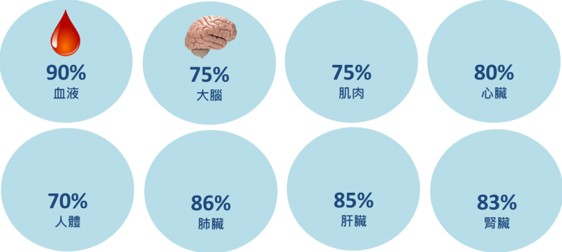 的重要成分,虽然体内的水含量会因个人年纪及身体不同的部位分布(脑含