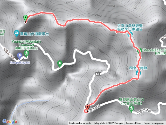 鳶嘴稍來帝雉及紅窄槭