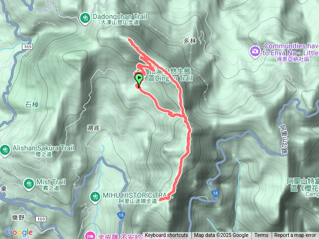 大凍山、芙蓉山、天福山中華大虎頭蜂預覽圖
