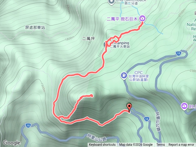 二萬坪山登山步道、二萬坪神木預覽圖