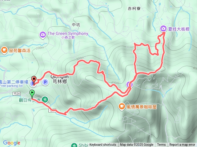 飛鳳山大板根