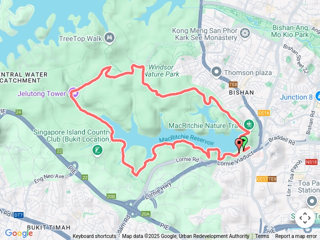 MacRitchie Trail, Singapore