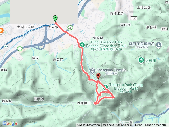 土城桐花+三粒半預覽圖