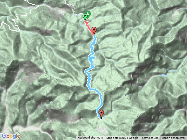 水漾森林（仁亭登山口/林道來回）