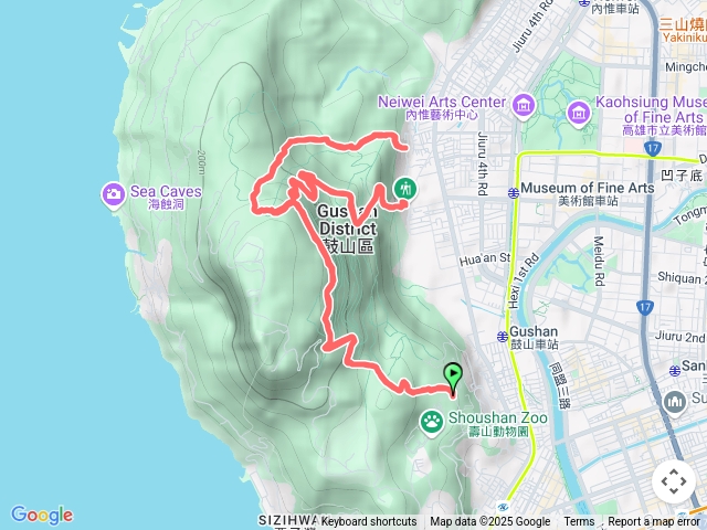 20250615_三進盤榕