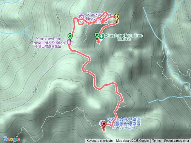 雪山神木預覽圖