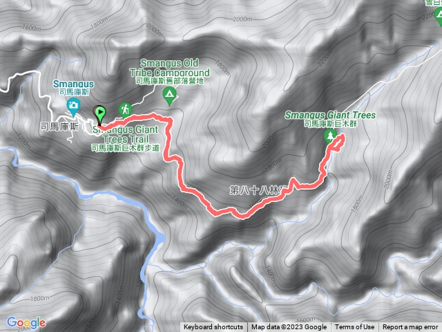 司馬庫斯櫻花🌸神木區