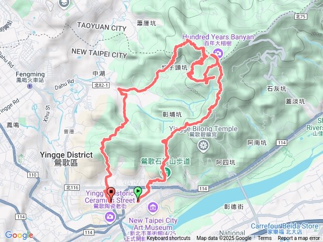 2025-0211-022：鶯歌116棵榕樹 行程：鶯歌116棵榕樹