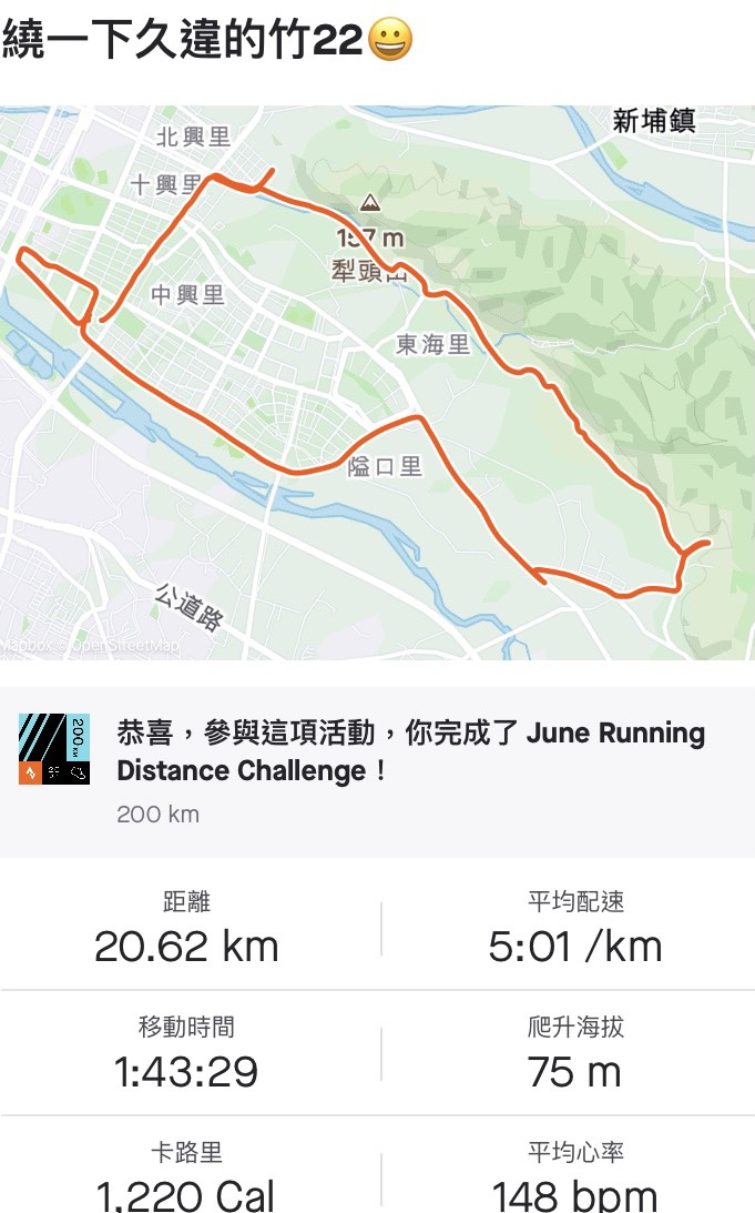 高cp值點鞋錄 Wave Duel 家族新星sonic 跳脫碳板跑自己的路 文章 運動筆記
