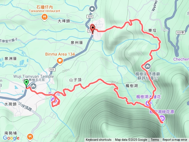 20250205-天元宮櫻花,楓樹湖