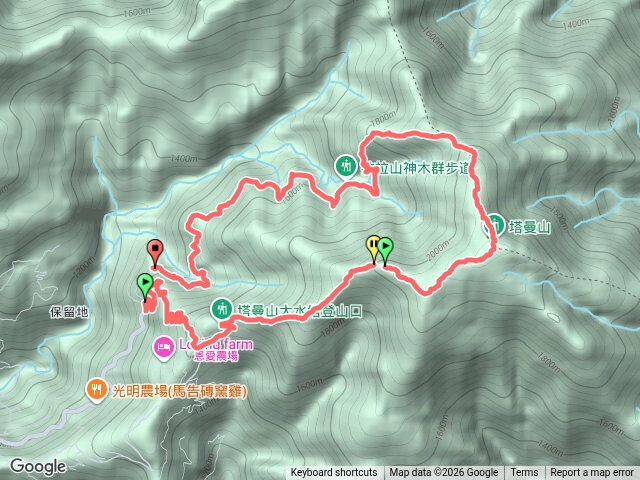 20260928塔曼山、拉拉山巨木步道預覽圖