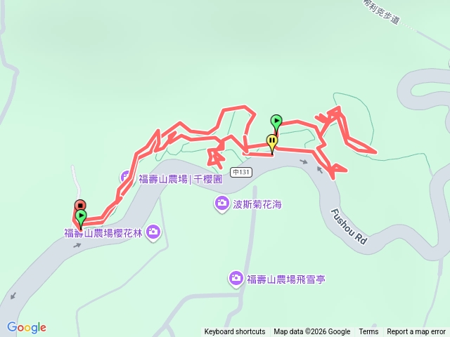 櫻花季_福壽山農場的千櫻園