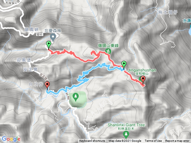 南投忘憂森林嶺頭山金柑樹山下杉林溪