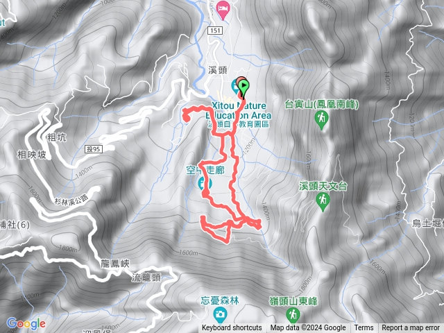 溪頭神木彩虹橋巨石-2024-0114