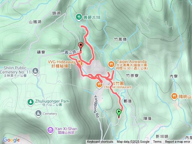 永公路落雨松預覽圖
