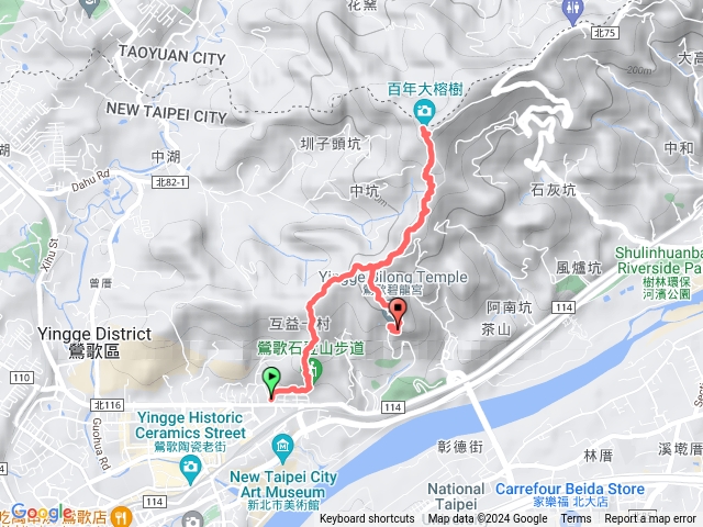 孫龍 碧龍 大榕樹