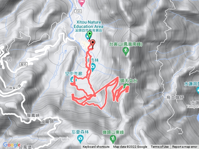 溪頭天文台登山步道-11/24