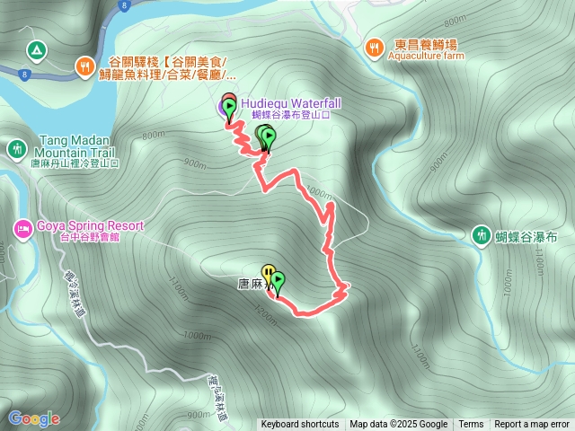 陰天的唐麻丹預覽圖
