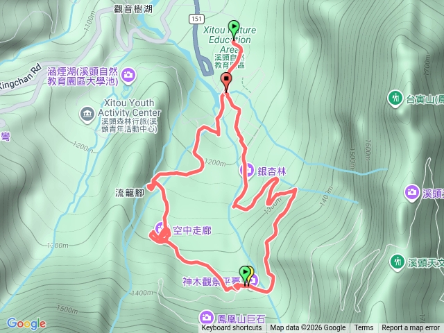 溪頭神木林道