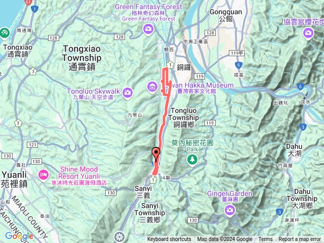 20241128三義銅鑼-緩坡杭菊