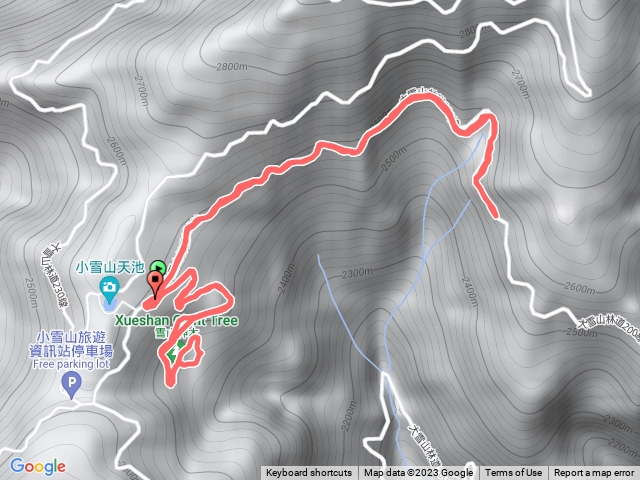 雪山神木、300林道