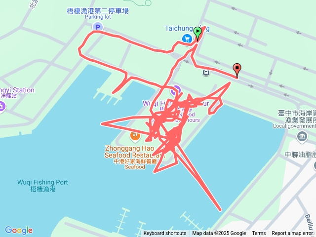 中港魚市遊