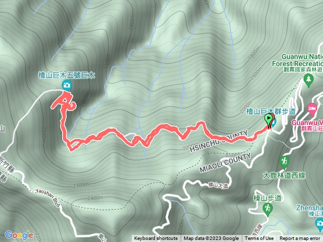 檜山巨木步道O型
