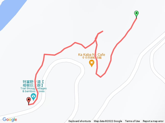 特富野步道-樟木群20221125