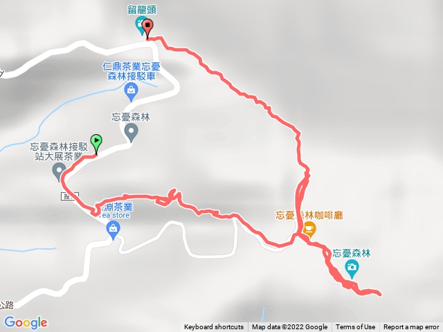 忘憂森林