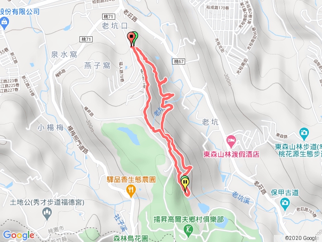 楊 梅 福 仁 路 登 山 步 道 小 繞一 圈