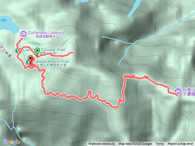 20251117六六登山隊望洋山及山毛櫸步道
