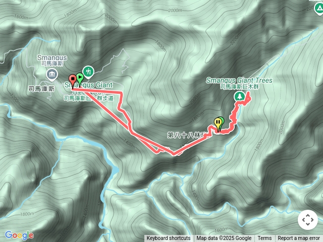 司馬庫斯巨木林