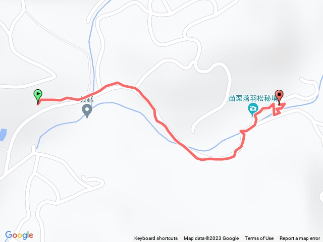 三灣落羽松秘境