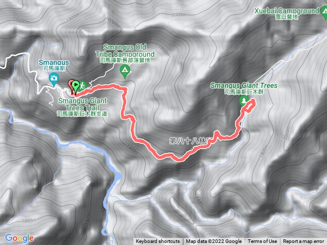 1111127 司馬酷斯 巨木群