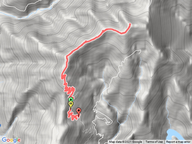 網子山、網子山東北峰、鳴海下山、鳴海山，半日行程