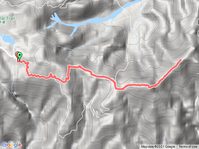 2020.11.01銅山山毛櫸