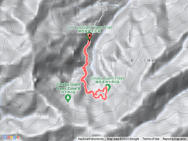 鎮西堡巨木群-B區