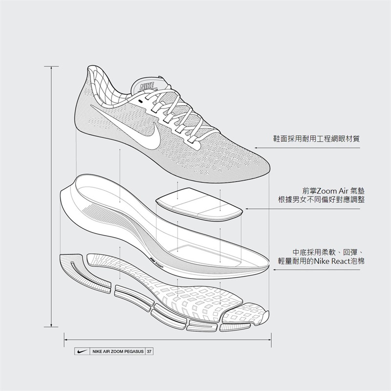 pegasus zoom 37