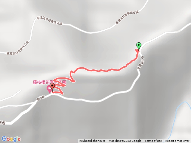 20220203高雄藤枝山