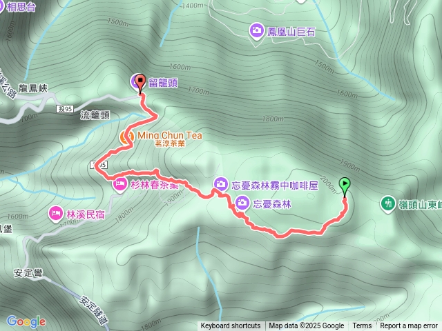 忘憂森林-領頭山預覽圖
