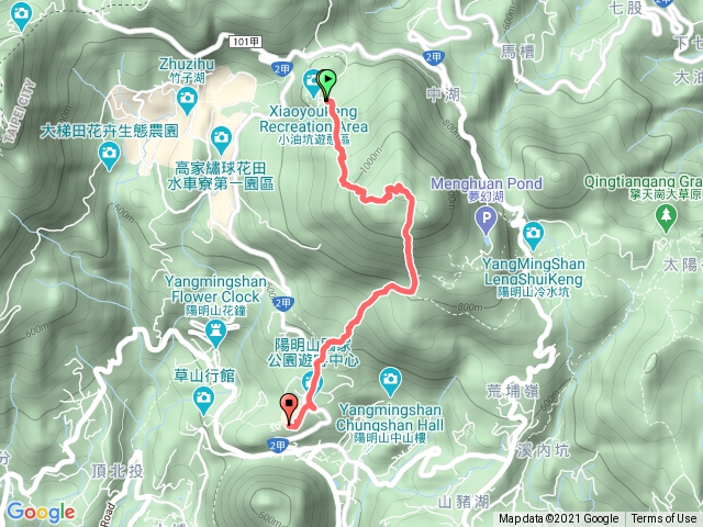 小油坑七星山主峰苗圃