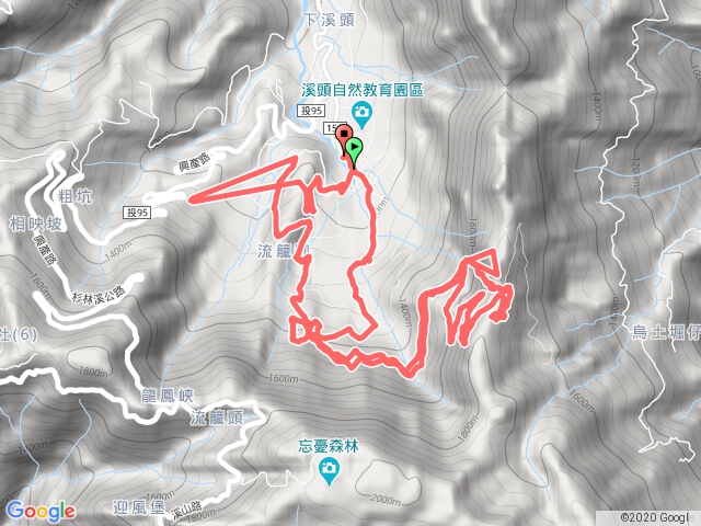 森林浴+鳳凰道+天文台+神木