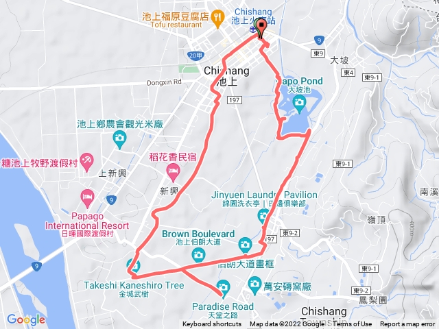 2022-07-11 池上火車站→大坡池→洗衣亭→伯朗大道→天堂路→金城武樹→大水車O形