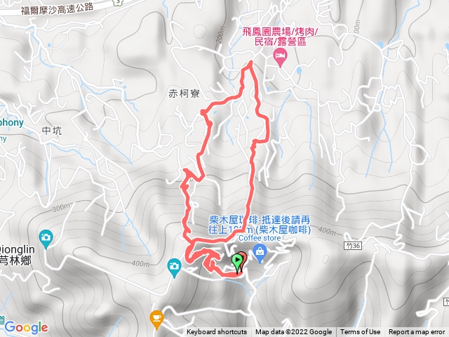 飛鳳山P型王爺坑上板根樹