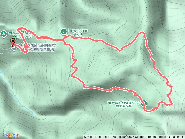 赫威神木群20250124預覽圖