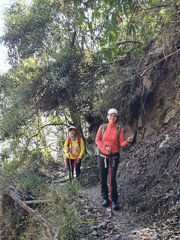 【阿里山】石山引水道_1585559