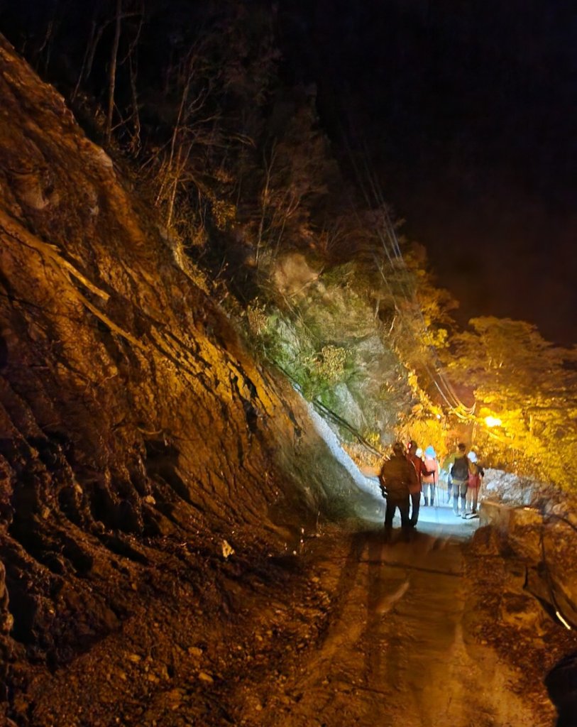 【百岳】志佳陽大山_2779865