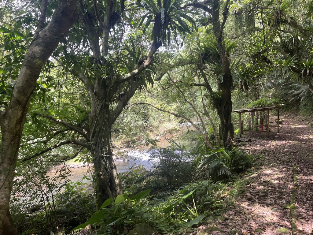 [淡蘭古道] 2024_0622 中路第五段-灣潭古道_2534004