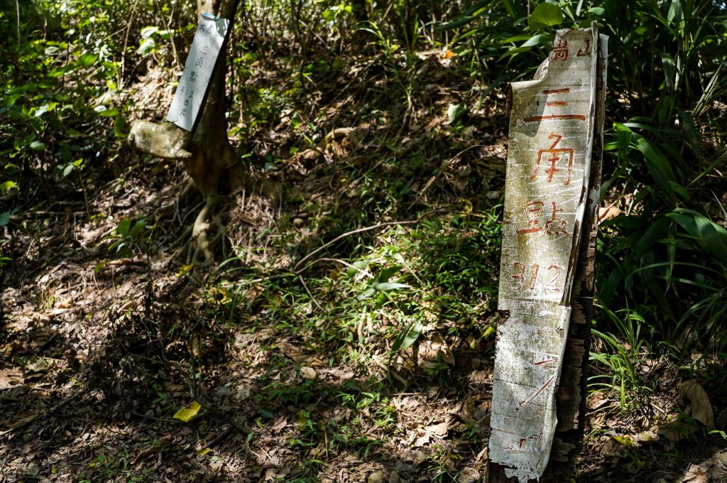 大崗山步道｜小百岳_2812776